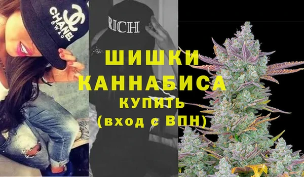 сатива Новый Уренгой