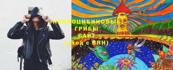 герыч Мегион