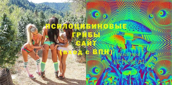 герыч Мегион
